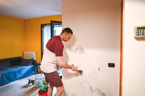 Best Mold Cleaning Services  in Lake Ketchum, WA