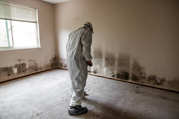 Best Mold Removal Process  in Lake Ketchum, WA